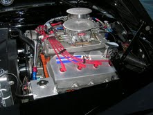 337.08142010.jpg