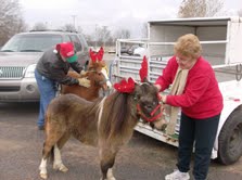 5761_hville_christmas_prade_12052010.jpg