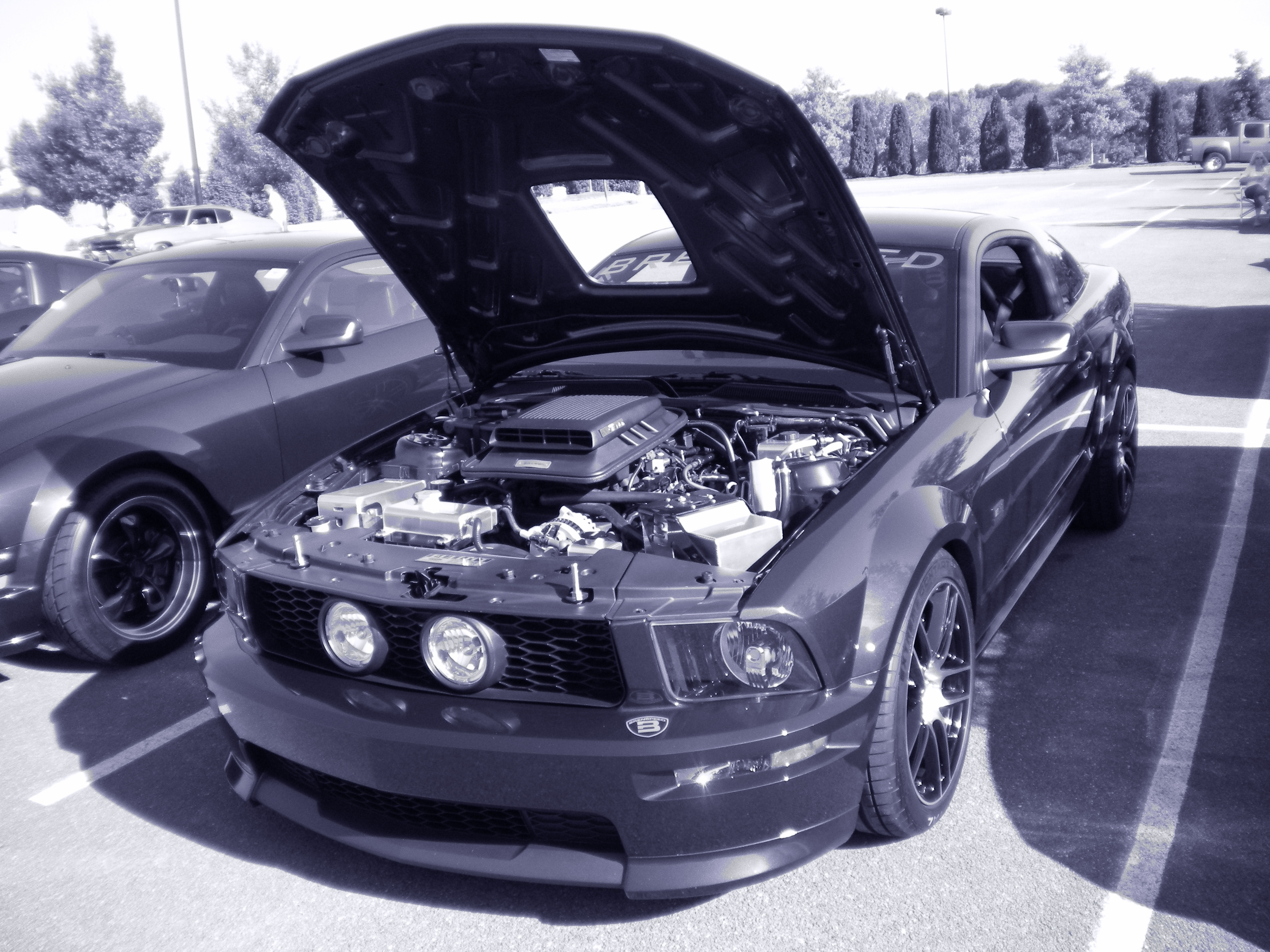 dscn0209.jpg