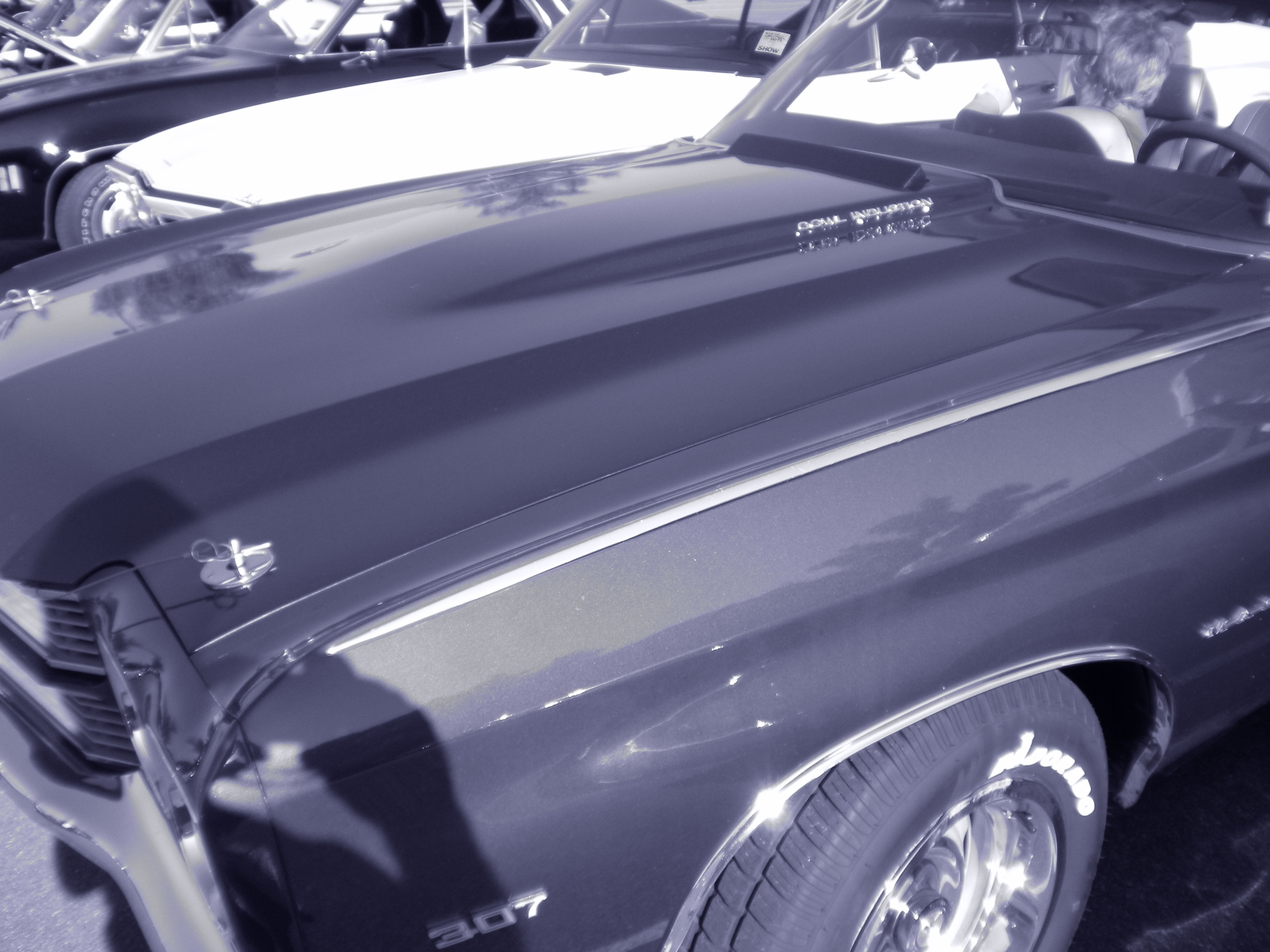 dscn0213.jpg