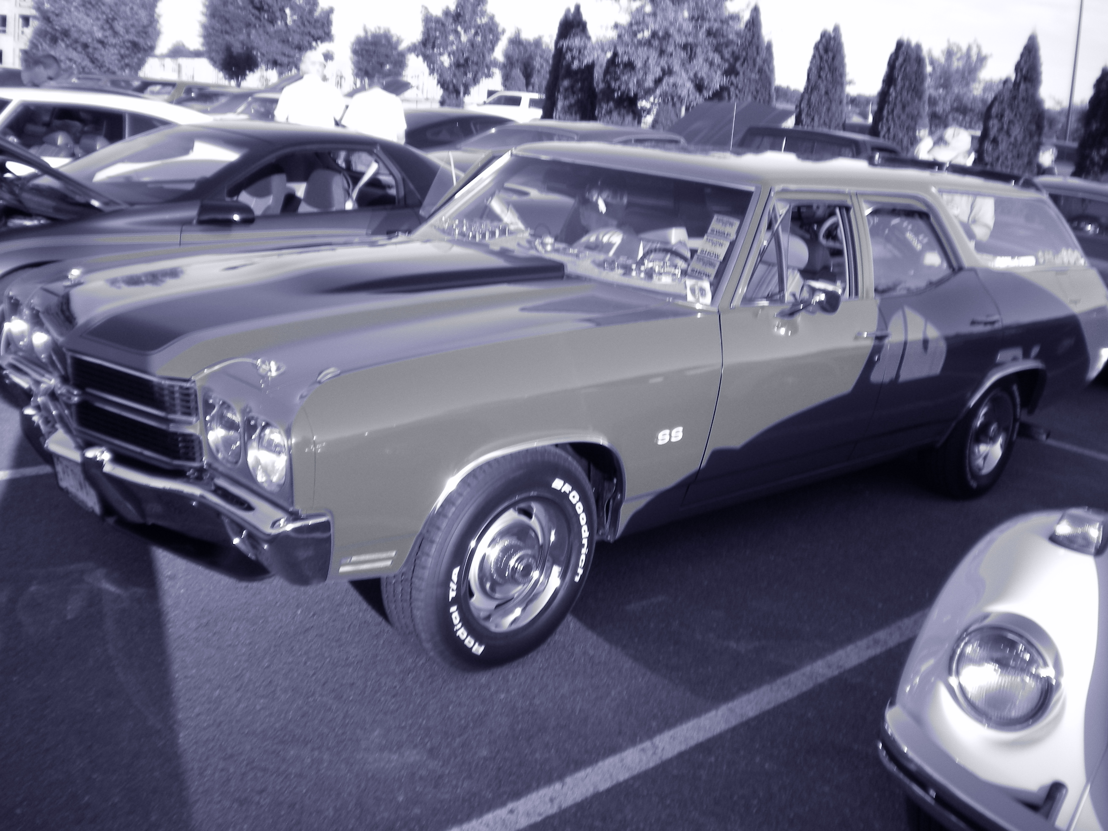 dscn0230.jpg