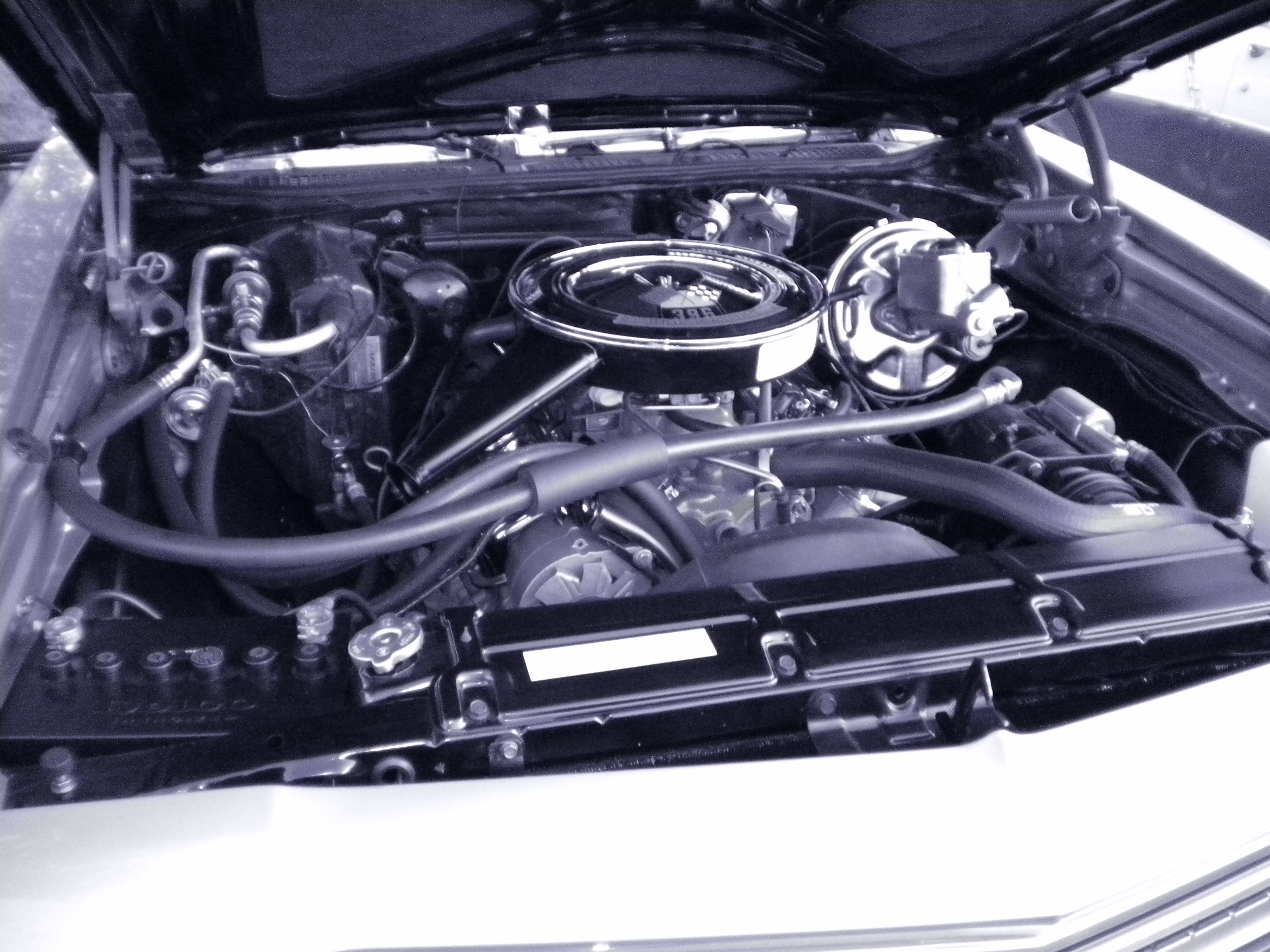 dscn0232.jpg