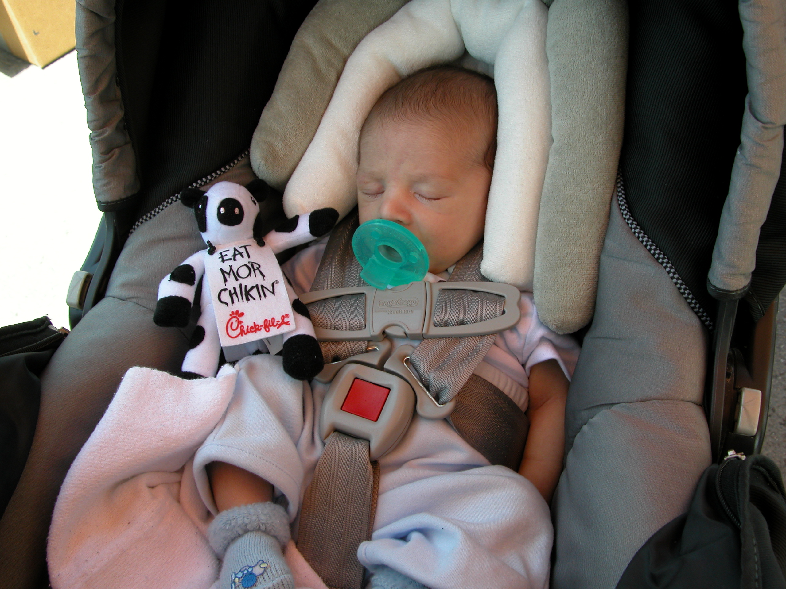 dscn1294.jpg