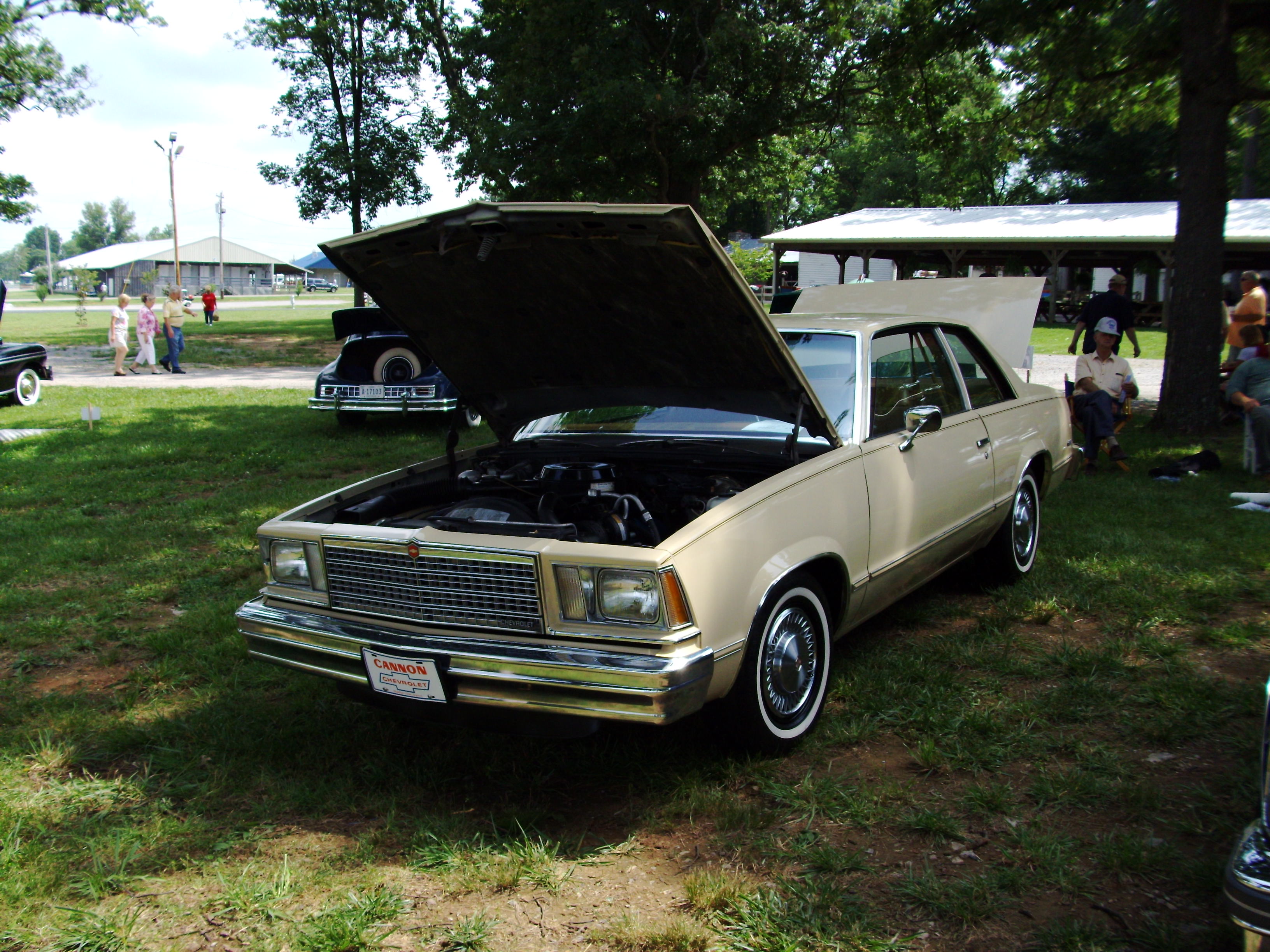 pict0151.jpg