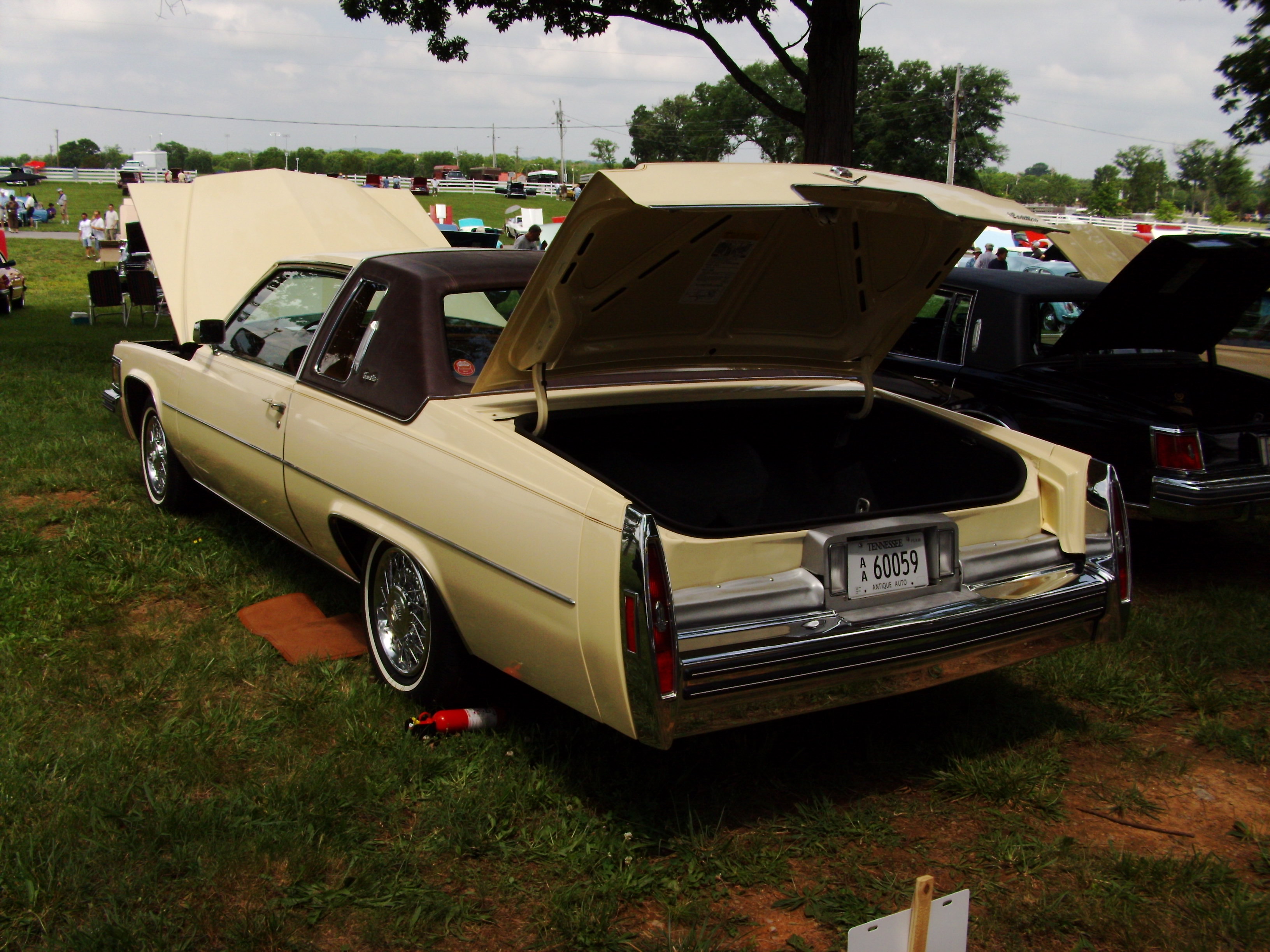 pict0153.jpg