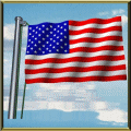 usaanimatedflag-1.gif